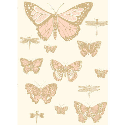 Butterflies & Dragonflies