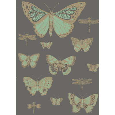 Butterflies & Dragonflies