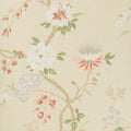 Camellia