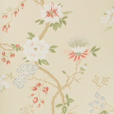 Camellia