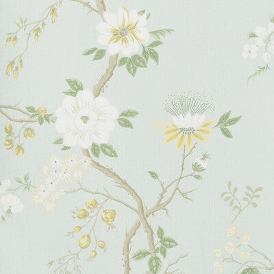 Camellia