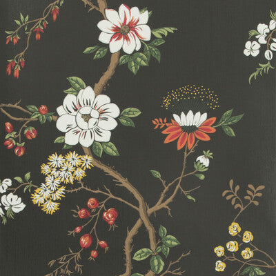 Camellia