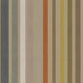 Carousel Stripe