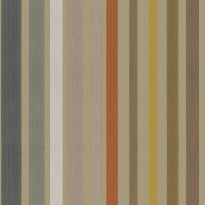 Carousel Stripe