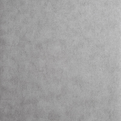 Chinchilla