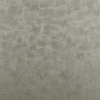 Chinchilla