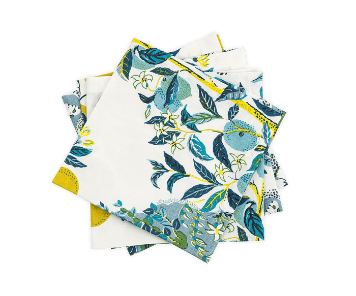 Citrus Garden Napkin - set of 4