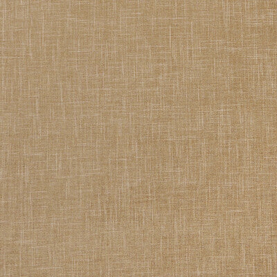 Pecan