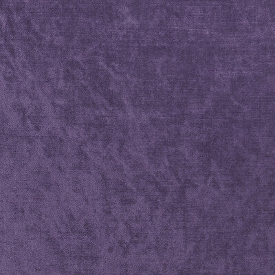 Grape