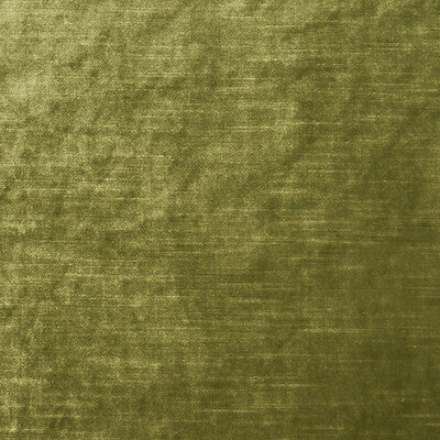 Moss
