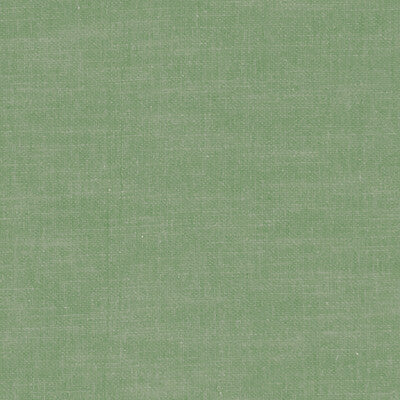 Palm