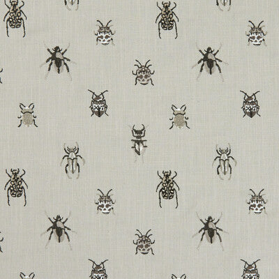 Clarke And Clarke Beetle