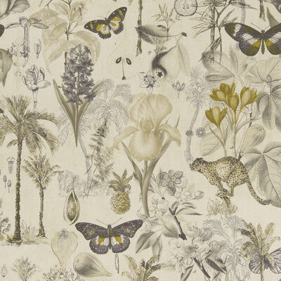 Clarke And Clarke Botany