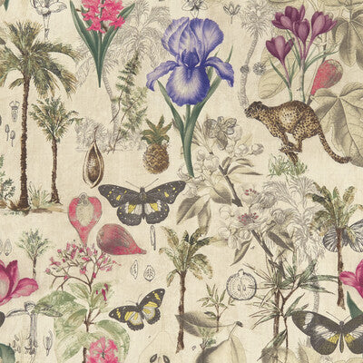 Clarke And Clarke Botany