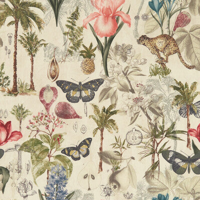 Clarke And Clarke Botany