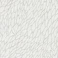 Clarke And Clarke Corallino Sheer