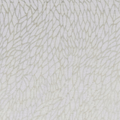 Clarke And Clarke Corallino Sheer