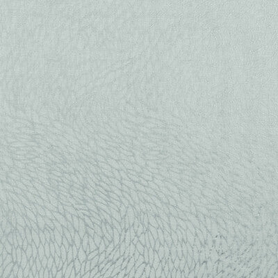 Clarke And Clarke Corallino Sheer