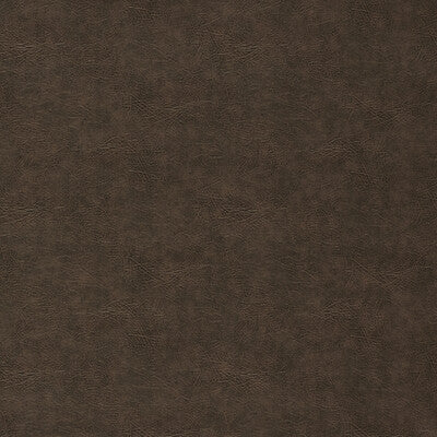 Teak