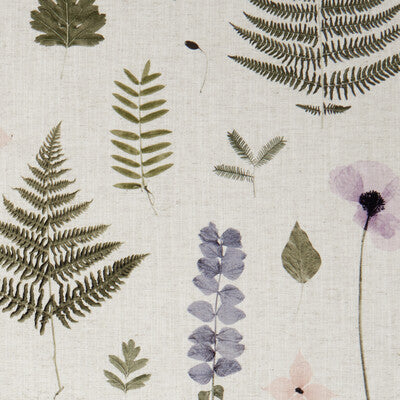 Clarke And Clarke Herbarium