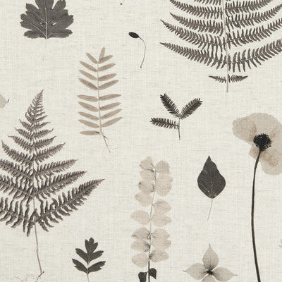 Clarke And Clarke Herbarium