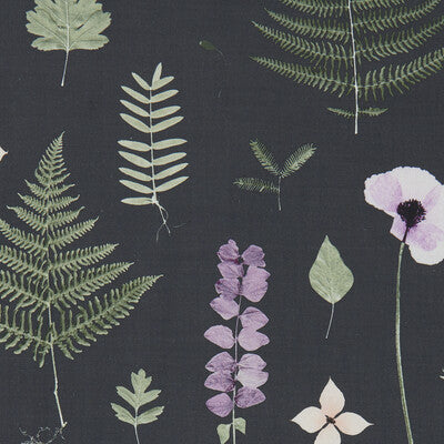 Clarke And Clarke Herbarium