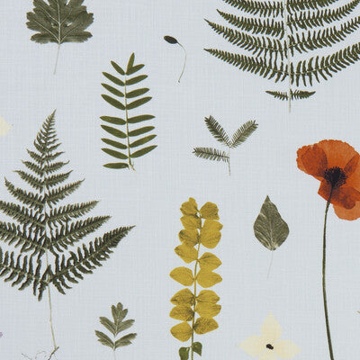 Clarke And Clarke Herbarium