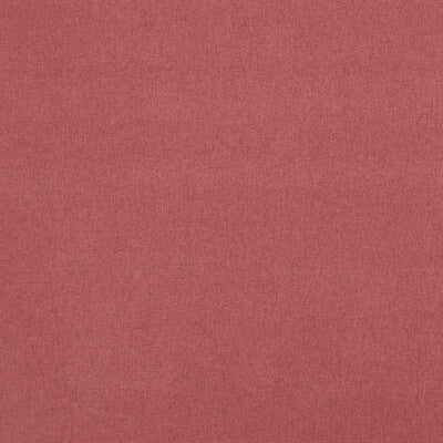 Garnet Rose