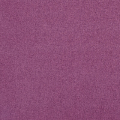 Cranberry