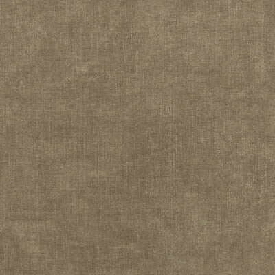 Cocoa
