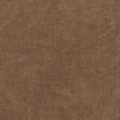 Mocha