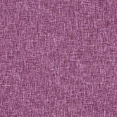 Raspberry