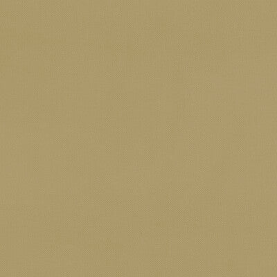 Ochre