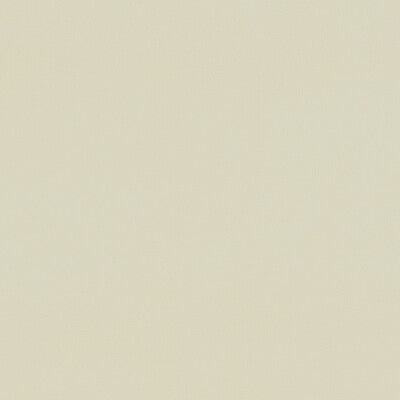 Clarke And Clarke Renzo