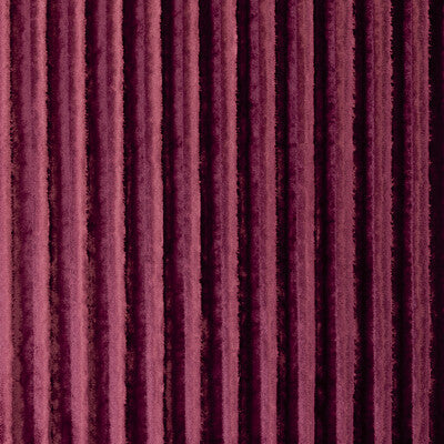 Sorbet