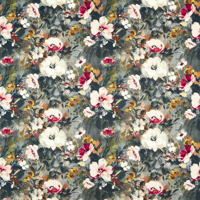 Clarke And Clarke Rugosa