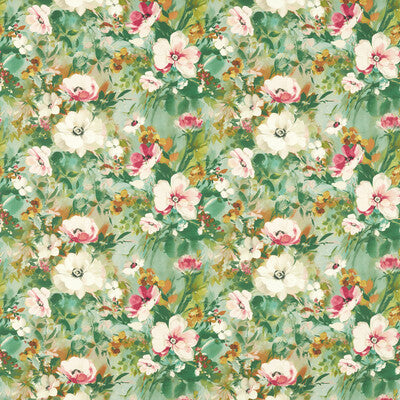 Clarke And Clarke Rugosa