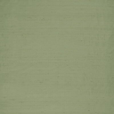 Pistachio