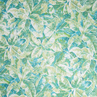 Diani Wallpaper
