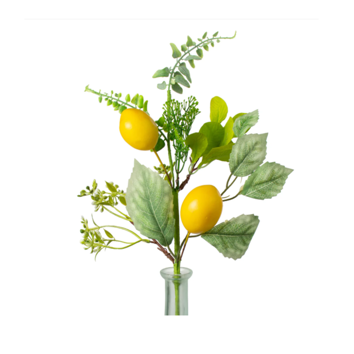DIY Lemon Hydrangea Grapevine Wreath Kit, Summer Edition by The Ritzy Cactus, Seasonal Wreath Kit.