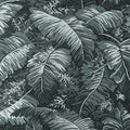 Feuilles De Bananier Wallpaper