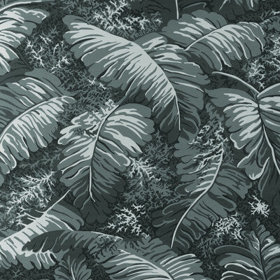 Feuilles De Bananier Wallpaper