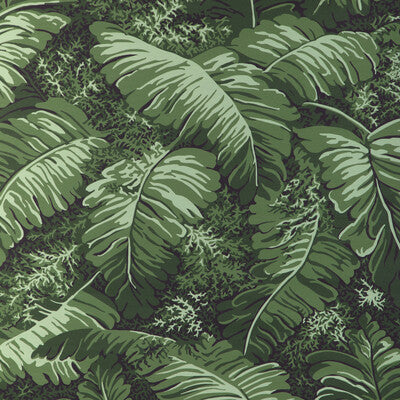 Feuilles De Bananier Wallpaper