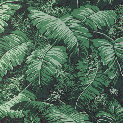 Feuilles De Bananier Wallpaper