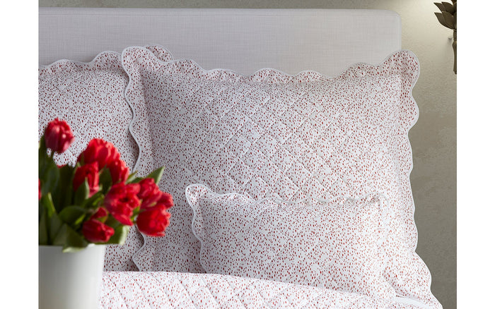 Celine Fitted Sheet