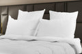 Himalaya 700 Fill Power Polish White Goose Down Pillow