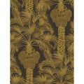 Hollywood Palm