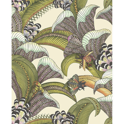 Hoopoe Leaves