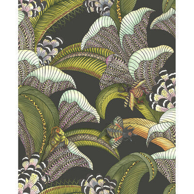 Hoopoe Leaves