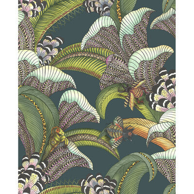 Hoopoe Leaves